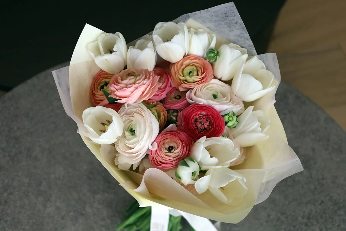 IVORY BLUSH