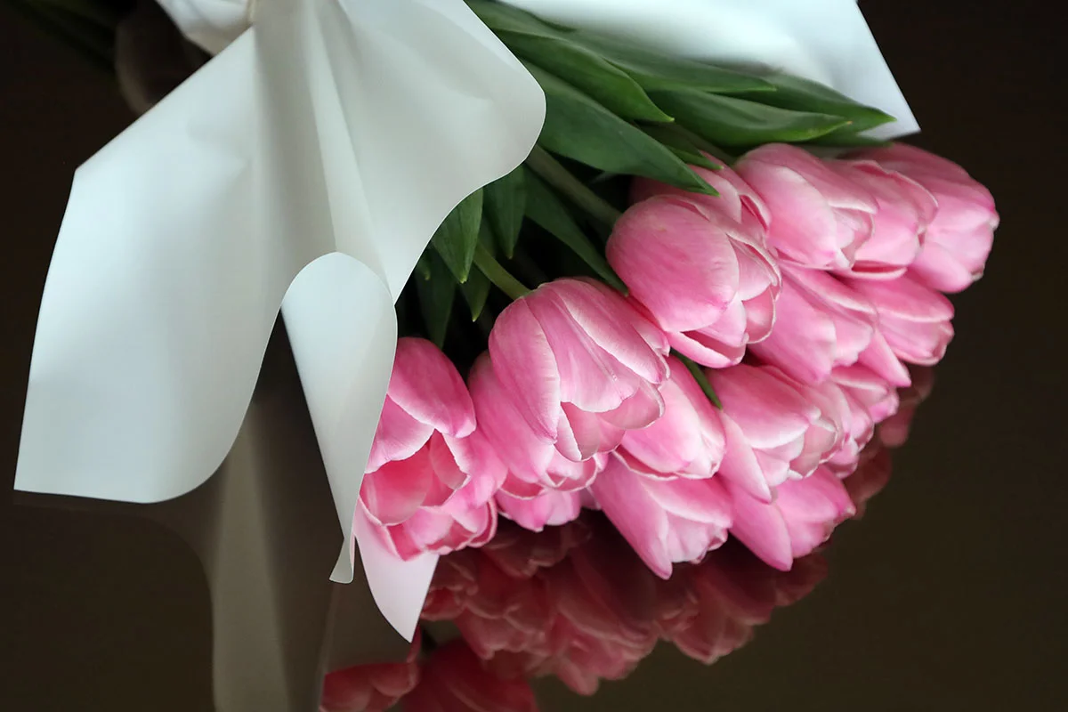 TULIP NO.1