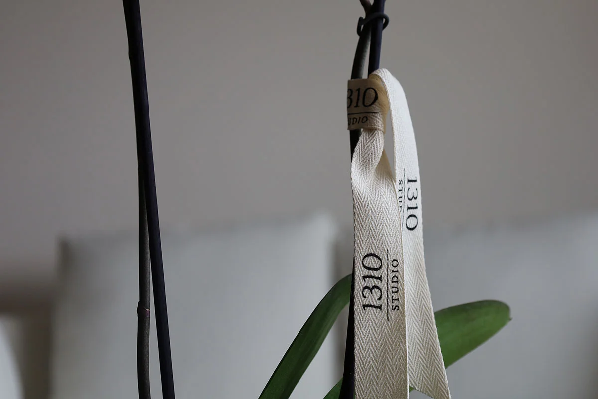 STEM